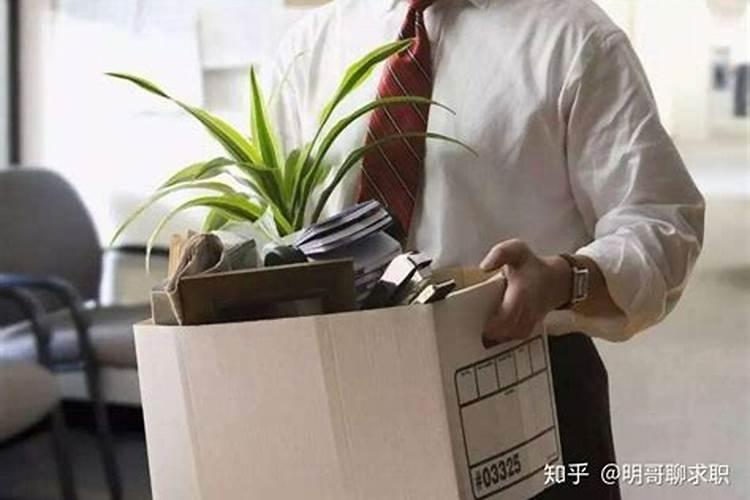 昨天晚上梦到以前公司的领导了,这个领导是把我辞退的人