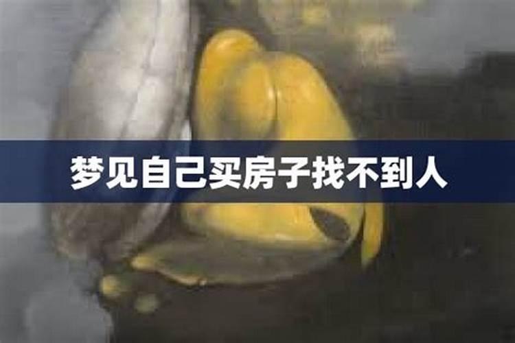 梦见梦回找不到路回家