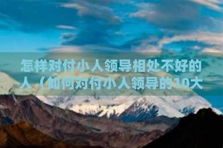 小人领导最怕什么招对付他