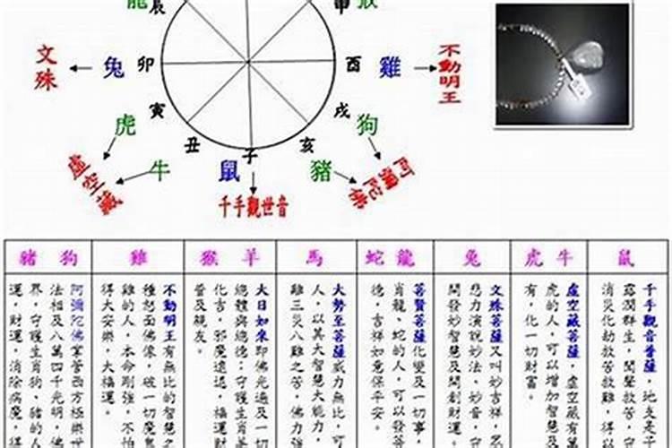 2000年属龙的是什么命