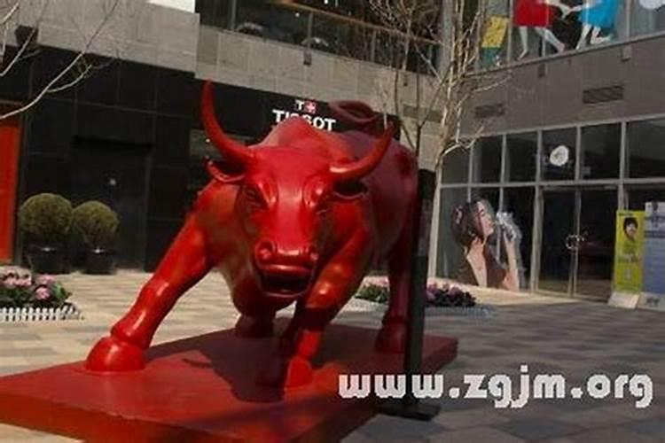 梦见大红牛是什么意思？
