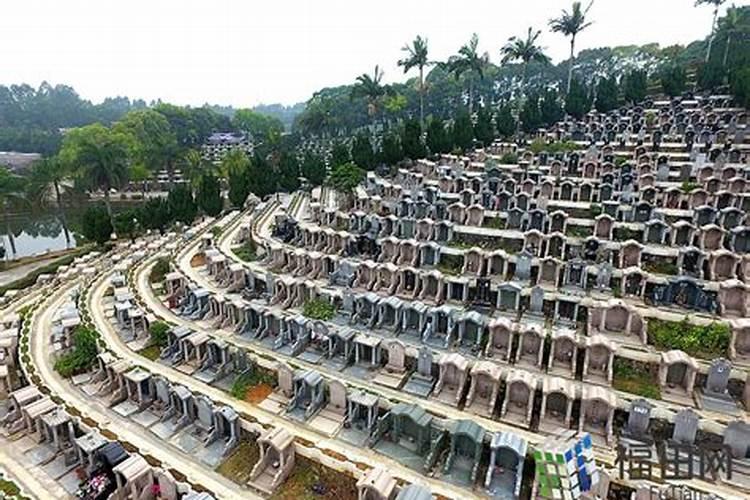 深圳清明节扫墓预约深圳清明节祭祀烧纸规定