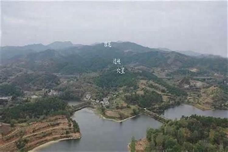 家居植物摆放风水及摆放位置？