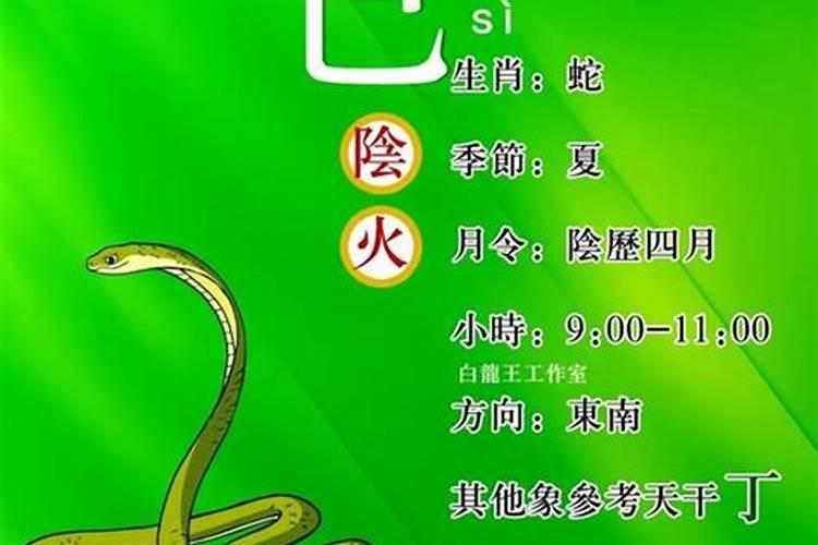 己未日主详解