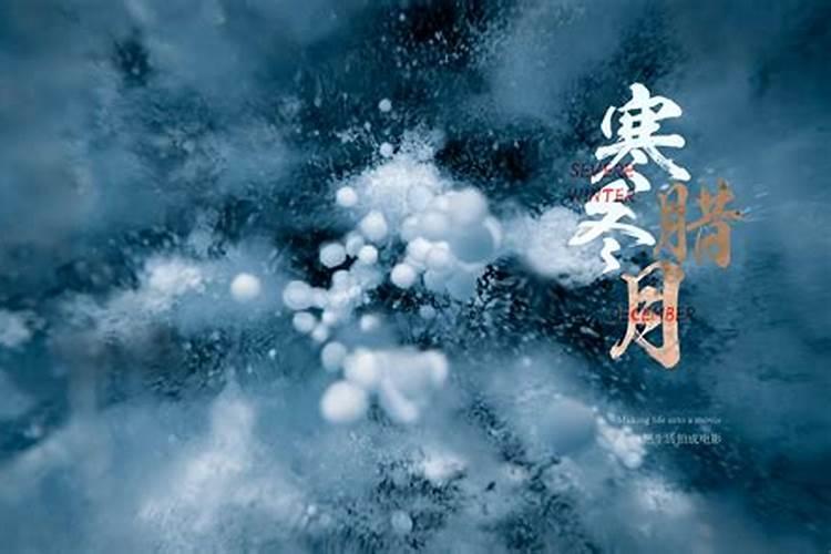 寒冬腊月才归家.打一肖？