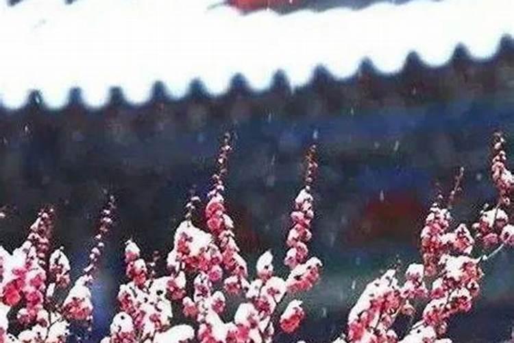 有关亲情的历史故事