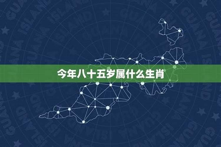 81年属鸡男2025年每月运势及运程详解