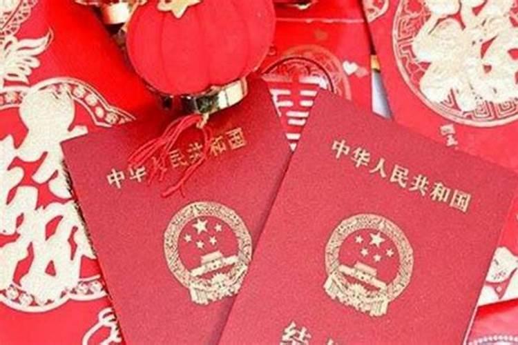 1982年狗2025年运势及运程？