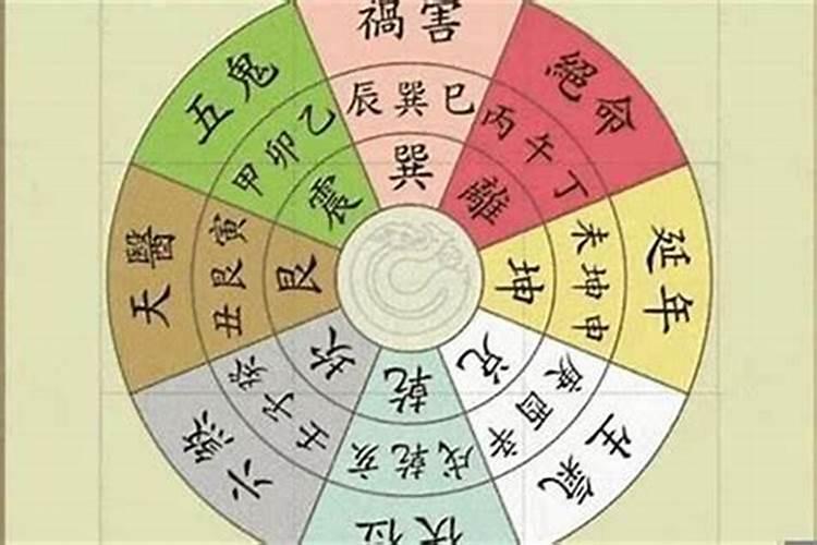 童子的孩子命运怎么样