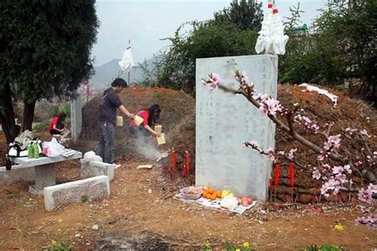 童子的孩子命运怎么样