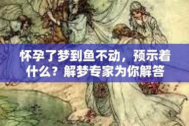 怀孕梦见抓鱼什么意思