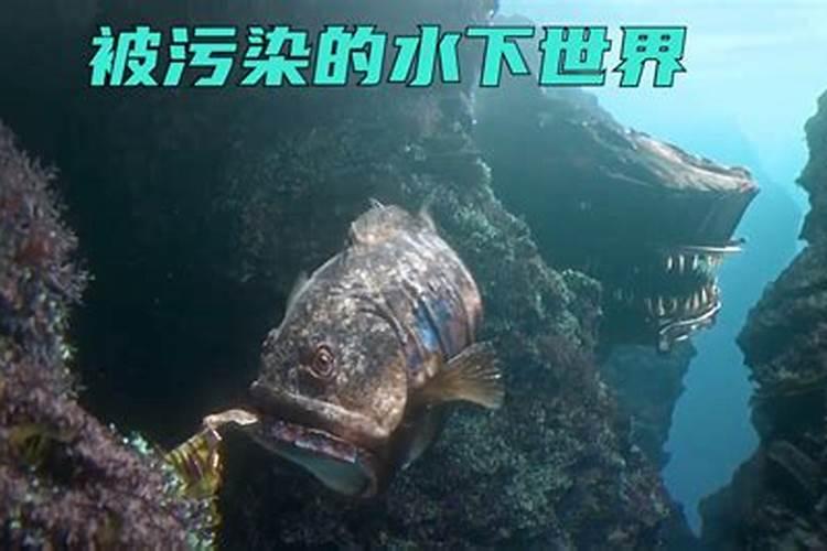 怀孕四个月,梦到快要干了的海洋,里面很多海洋生物都快变异了,填上...