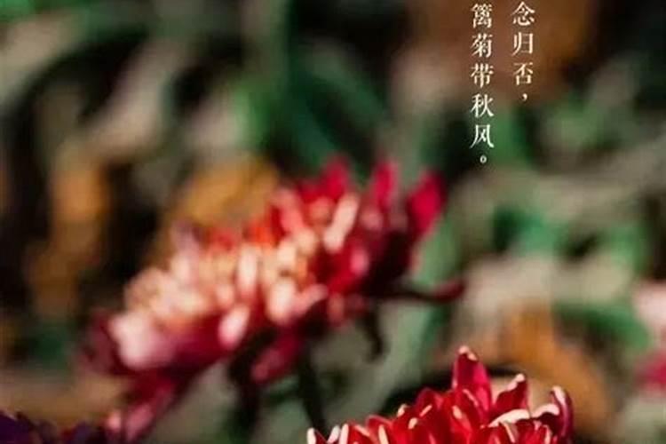 1963年阴历四月初四,1963年4月4日是什么星座