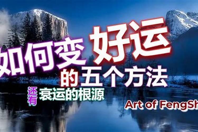 女人梦见蛇咬住不松口是吉兆