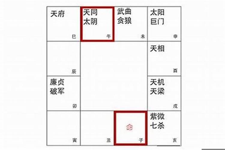 属鼠生什么属相的孩子最好