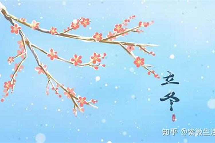杨清华 十二生肖一周运程11.911.15