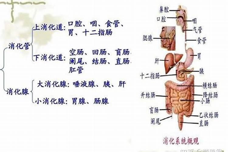 在风水中是怎么用命卦起伏位定凶吉？