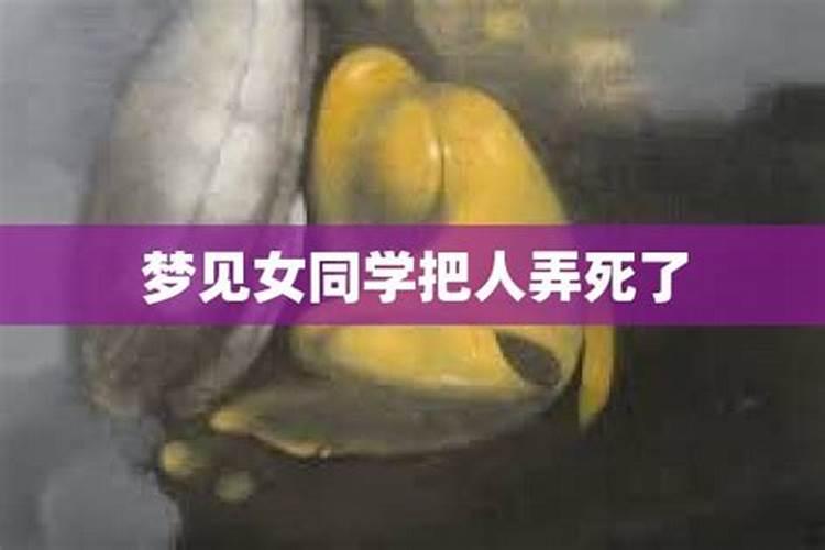 梦见女性同学的预兆