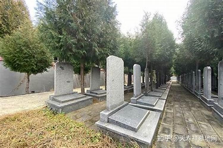 梦见一大片墓地的预兆