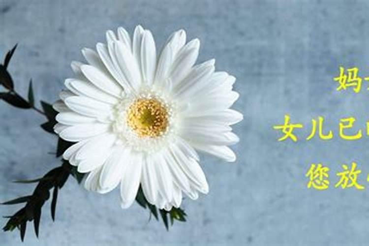 做梦梦见妈妈死了怎么回事