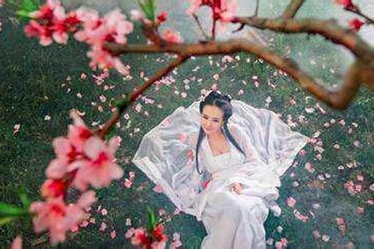 为什么时柱桃花命不长