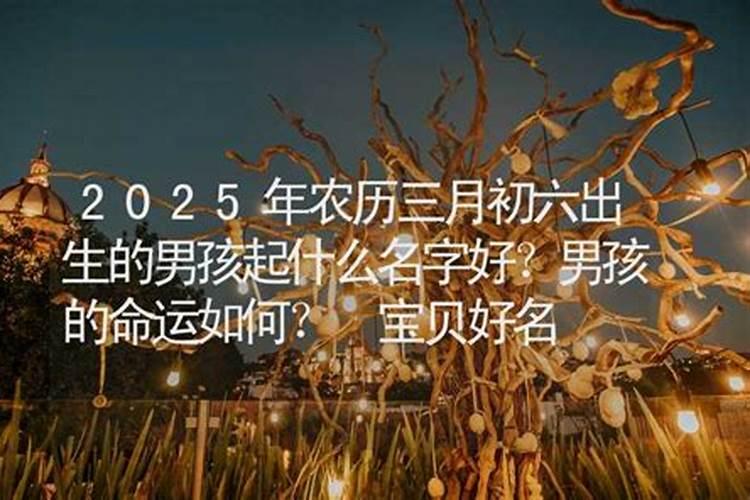 农历三月十五出生的男孩