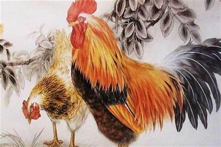 面相分析:1、面相流年部位
