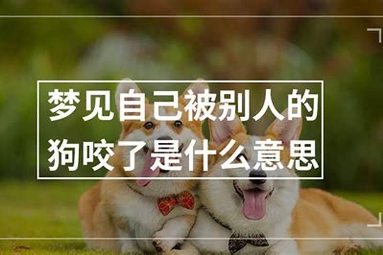 梦见被狗咬是什么意思？周公解梦