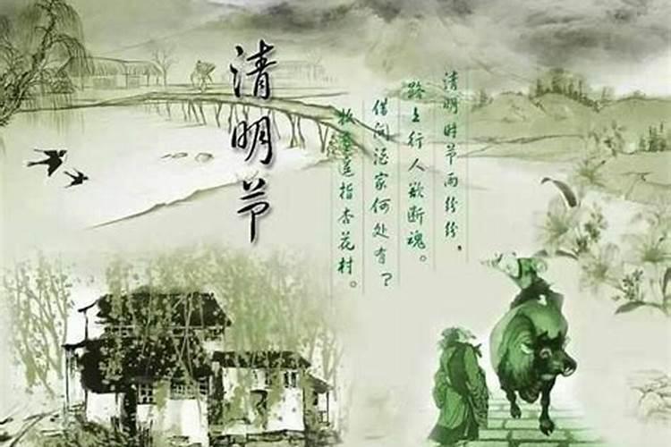 清明节送花送几支是比较常规的数量