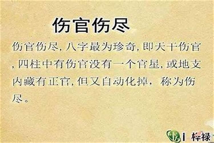 劫伤是什么意思
