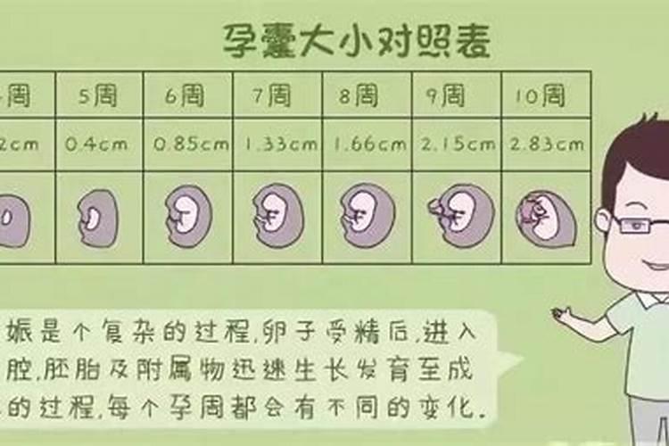 怀孕8周是药流效果好？还是人流好？