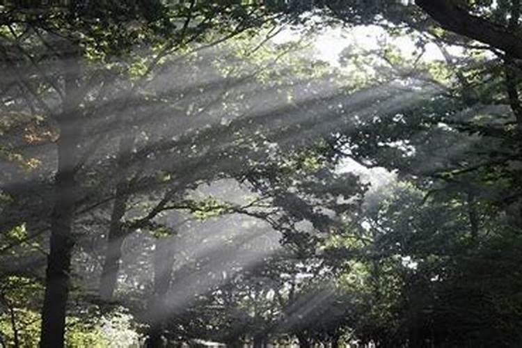 九星合婚得绝命是什么意思