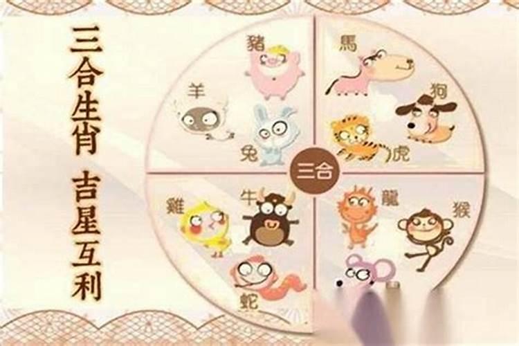 属羊爸爸和虎宝宝八字合不合 四月出生有贵人常伴？