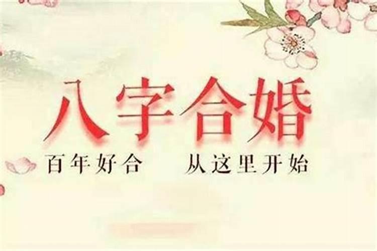 1997年属牛男一生命运 生肖牛一生财运不顺利？