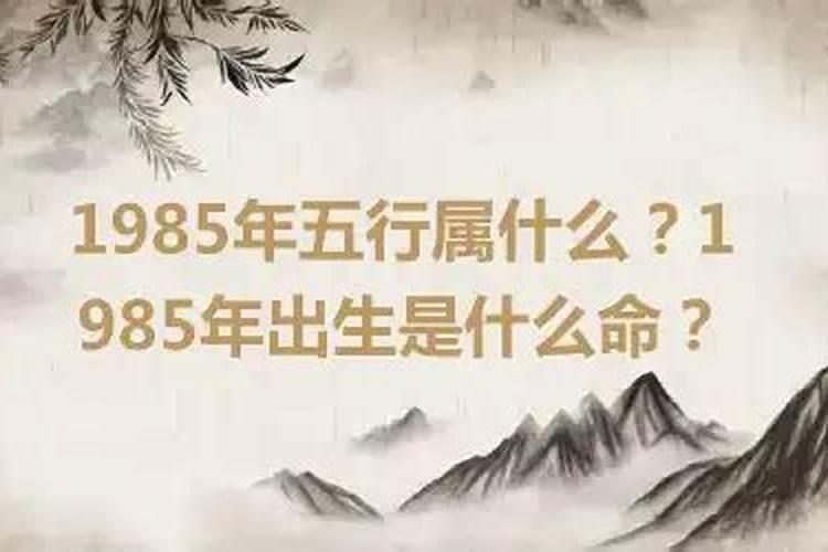 龙姓女孩名字大全2024有涵养顺口龙姓女孩名字
