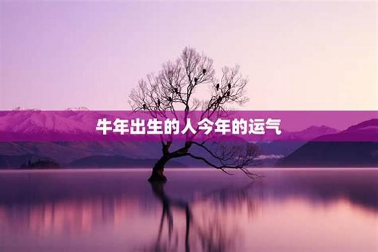 85年属牛2025年运势和财运怎么样