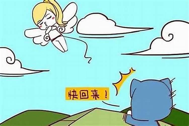 女属狗的和男属龙的相冲如何化解