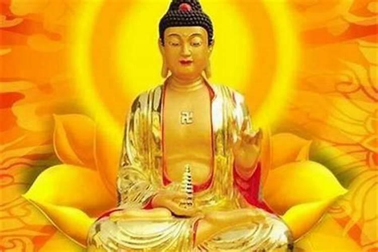 属猪的守护神是什么菩萨？