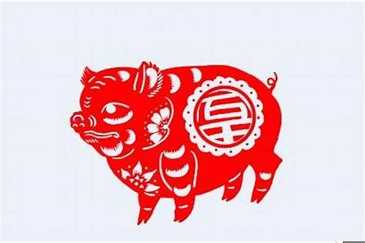 95年属猪人2025年可以生蛇宝宝吗