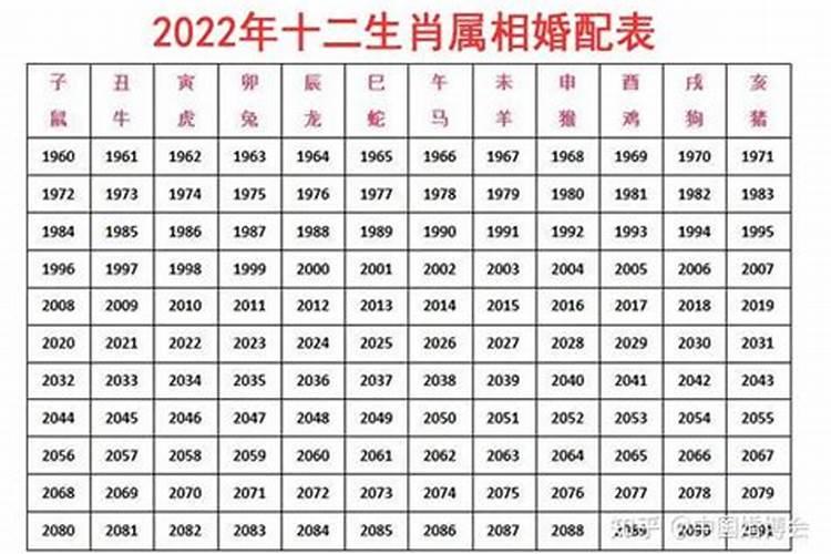 找对象该不该相信属相,找对象结婚看年龄属相,真的很重要吗？