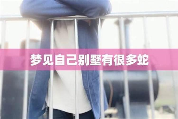 梦到别墅是什么兆头