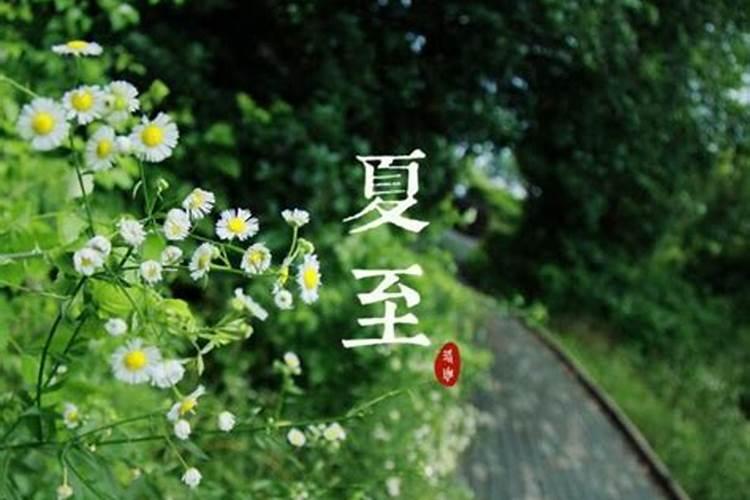 二十四节气夏至节气经典祝福语短信