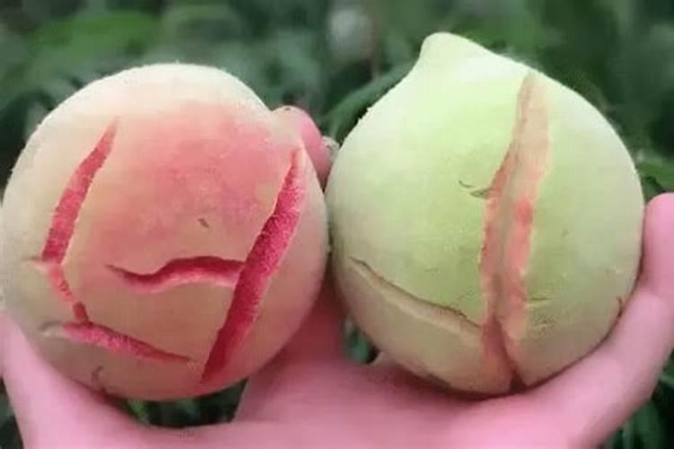 梦见买桃子是什么预兆