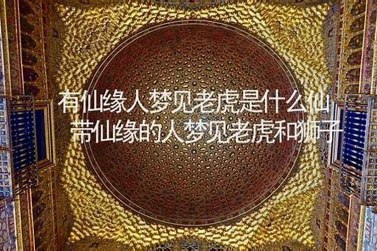 仙梦解析
