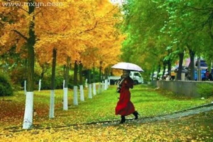 孕妇梦见下小雨预示着什么