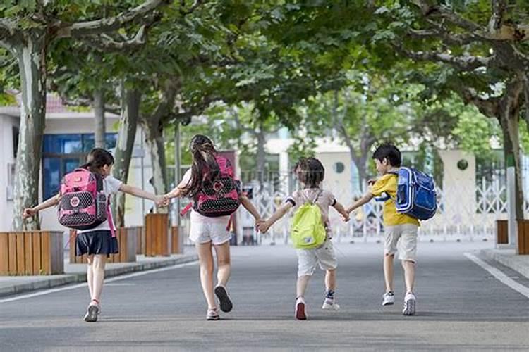 仙人掌放哪里防小人,不带仙人掌刺放办公室是最佳选择