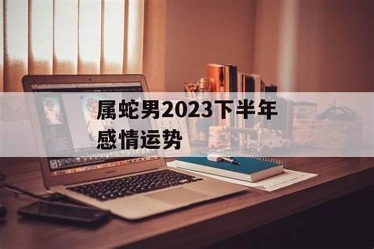 2025生肖蛇的运势大全 属蛇人2025年每月运势