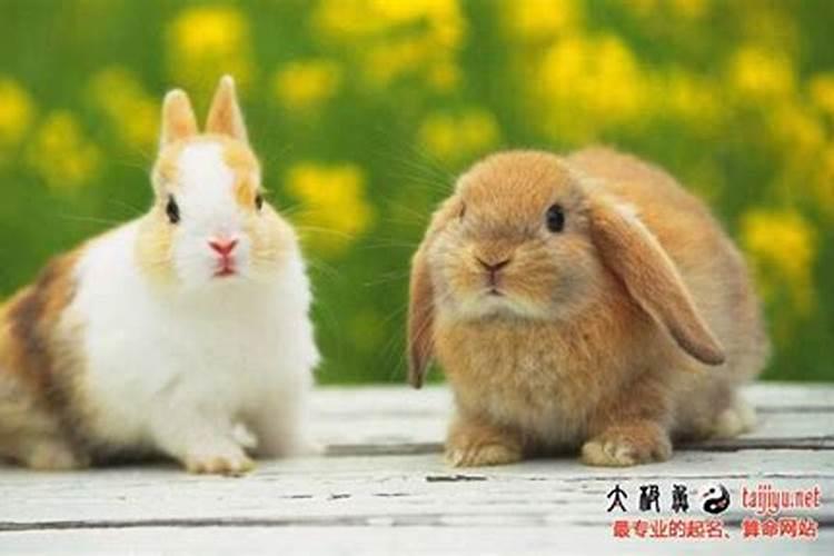 怎么从八字看寿命长短