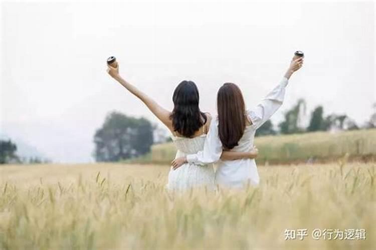 十二生肖排序图片
