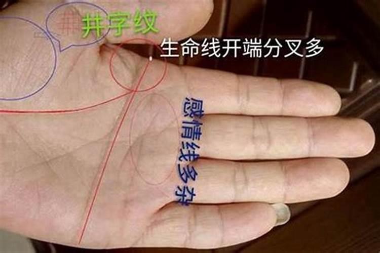 天降横财一夜暴富的手相